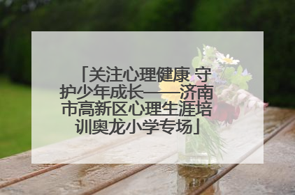 关注心理健康 守护少年成长——济南市高新区心理生涯培训奥龙小学专场