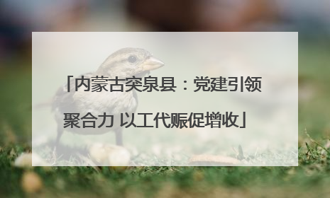内蒙古突泉县：党建引领聚合力 以工代赈促增收