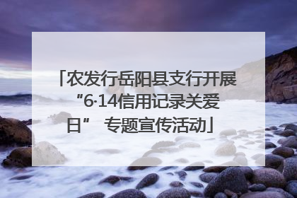 农发行岳阳县支行开展“6·14信用记录关爱日” 专题宣传活动