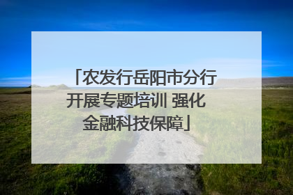 农发行岳阳市分行开展专题培训 强化金融科技保障