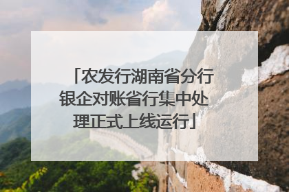 农发行湖南省分行银企对账省行集中处理正式上线运行