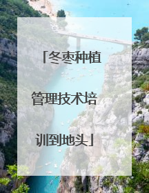 冬枣种植管理技术培训到地头