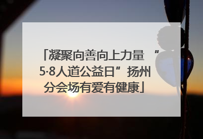 凝聚向善向上力量 “5·8人道公益日”扬州分会场有爱有健康