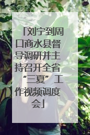 刘宁到周口商水县督导调研并主持召开全省“三夏”工作视频调度会