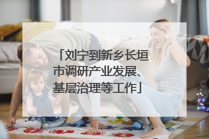 刘宁到新乡长垣市调研产业发展、基层治理等工作