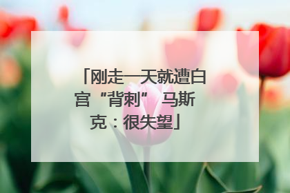 刚走一天就遭白宫“背刺” 马斯克：很失望