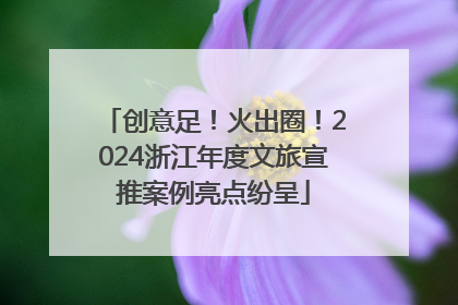 创意足！火出圈！2024浙江年度文旅宣推案例亮点纷呈