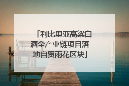 利比里亚高粱白酒全产业链项目落地自贸雨花区块