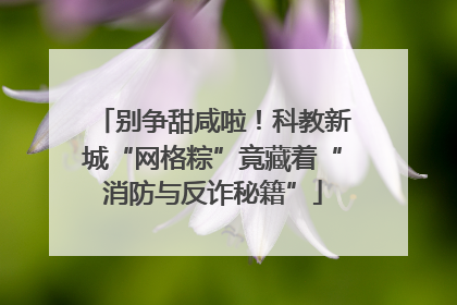 别争甜咸啦！科教新城“网格粽”竟藏着“消防与反诈秘籍”