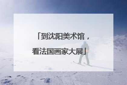 到沈阳美术馆，看法国画家大展
