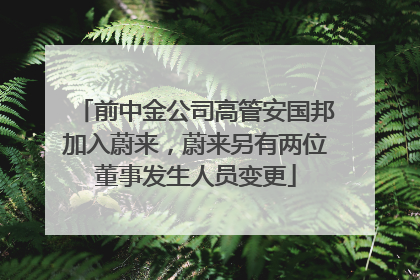 前中金公司高管安国邦加入蔚来，蔚来另有两位董事发生人员变更