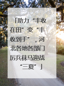 助力“丰收在田”变“丰收到手”，河北各地各部门厉兵秣马迎战“三夏”