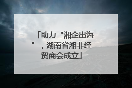 助力“湘企出海”，湖南省湘非经贸商会成立