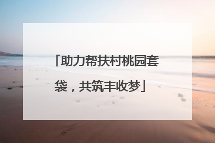 助力帮扶村桃园套袋，共筑丰收梦