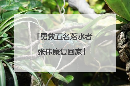勇救五名落水者 张伟康复回家