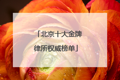 北京十大金牌律所权威榜单