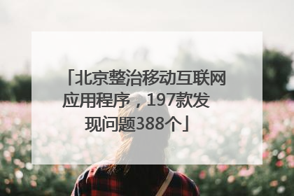 北京整治移动互联网应用程序，197款发现问题388个