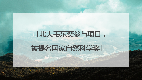 北大韦东奕参与项目，被提名国家自然科学奖