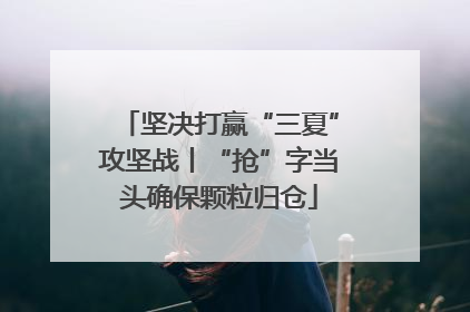 坚决打赢“三夏”攻坚战丨“抢”字当头确保颗粒归仓