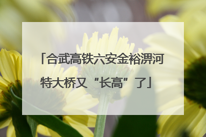 合武高铁六安金裕淠河特大桥又“长高”了