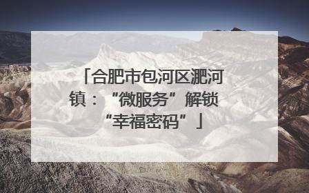 合肥市包河区淝河镇：“微服务”解锁“幸福密码”