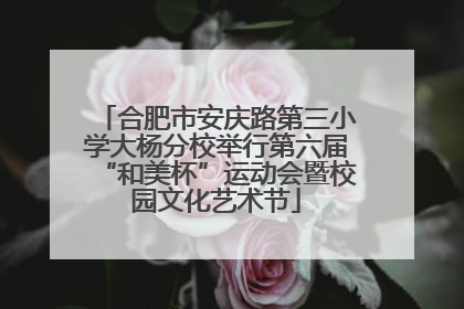 合肥市安庆路第三小学大杨分校举行第六届“和美杯”运动会暨校园文化艺术节