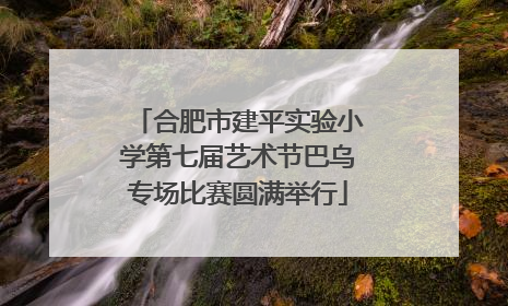 合肥市建平实验小学第七届艺术节巴乌专场比赛圆满举行