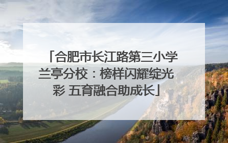 合肥市长江路第三小学兰亭分校：榜样闪耀绽光彩 五育融合助成长