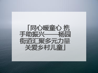 同心暖童心 携手助振兴——杨园街道汇聚多元力量关爱乡村儿童