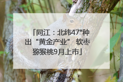 同江：北纬47°种出“黄金产业” 软枣猕猴桃9月上市