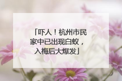 吓人！杭州市民家中已出现白蚁，入梅后大爆发