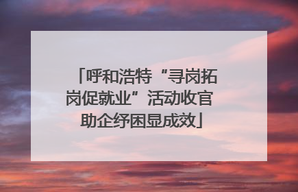 呼和浩特“寻岗拓岗促就业”活动收官 助企纾困显成效