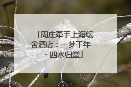 周庄牵手上海纭舍酒店：一梦千年・四水归堂