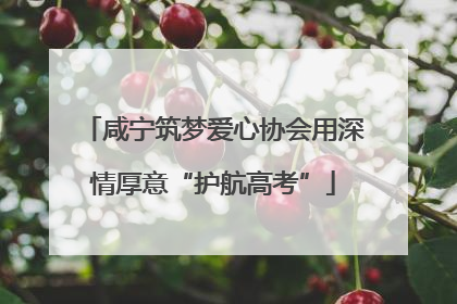 咸宁筑梦爱心协会用深情厚意“护航高考”