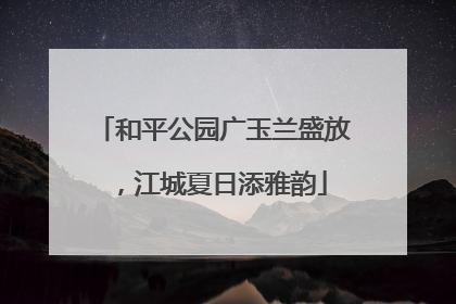 和平公园广玉兰盛放，江城夏日添雅韵