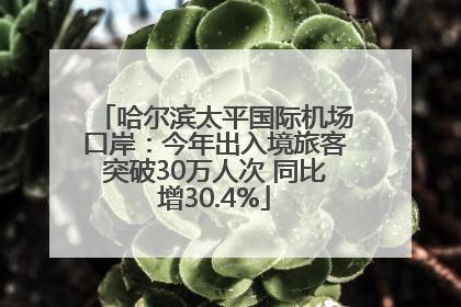 哈尔滨太平国际机场口岸：今年出入境旅客突破30万人次 同比增30.4%