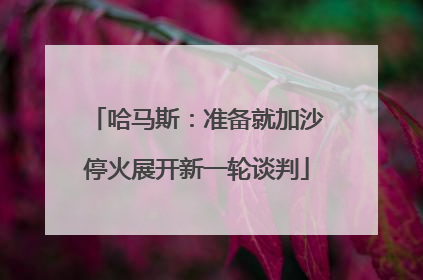 哈马斯：准备就加沙停火展开新一轮谈判
