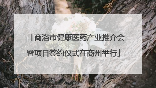 商洛市健康医药产业推介会暨项目签约仪式在商州举行