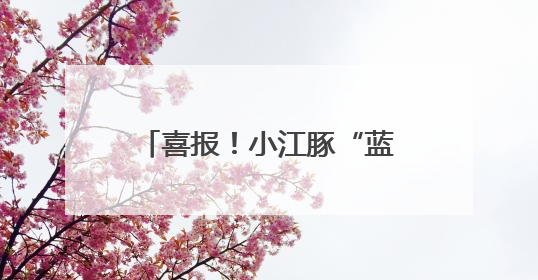 喜报！小江豚“蓝叒叒”入选2025年网络文明国际交流互鉴城市典型案例