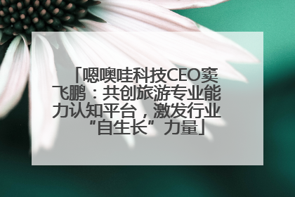 嗯噢哇科技CEO窦飞鹏：共创旅游专业能力认知平台，激发行业“自生长”力量