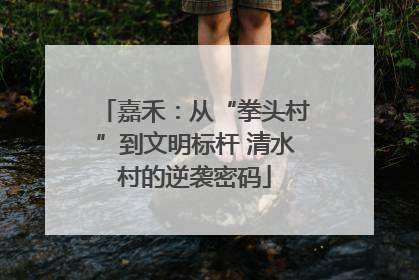 嘉禾：从“拳头村”到文明标杆 清水村的逆袭密码
