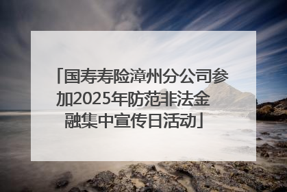 国寿寿险漳州分公司参加2025年防范非法金融集中宣传日活动