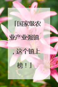 国家级农业产业强镇，这个镇上榜！