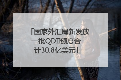 国家外汇局新发放一批QDII额度合计30.8亿美元