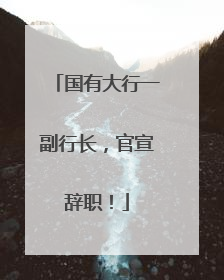 国有大行一副行长，官宣辞职！