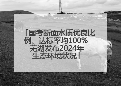 国考断面水质优良比例、达标率均100% 芜湖发布2024年生态环境状况