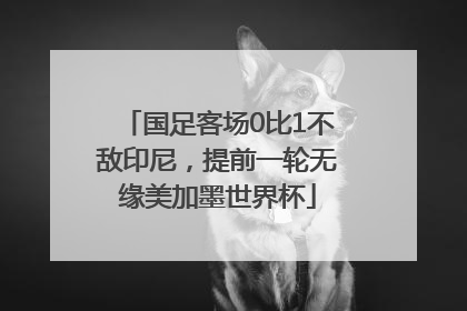 国足客场0比1不敌印尼，提前一轮无缘美加墨世界杯