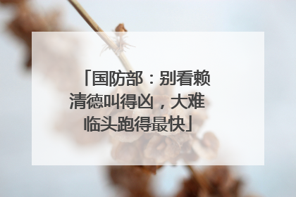国防部：别看赖清德叫得凶，大难临头跑得最快