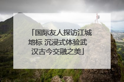 国际友人探访江城地标 沉浸式体验武汉古今交融之美