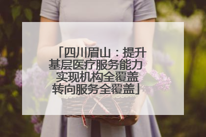 四川眉山：提升基层医疗服务能力 实现机构全覆盖转向服务全覆盖